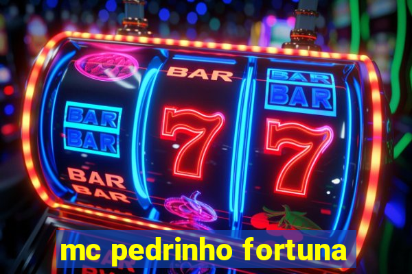 mc pedrinho fortuna